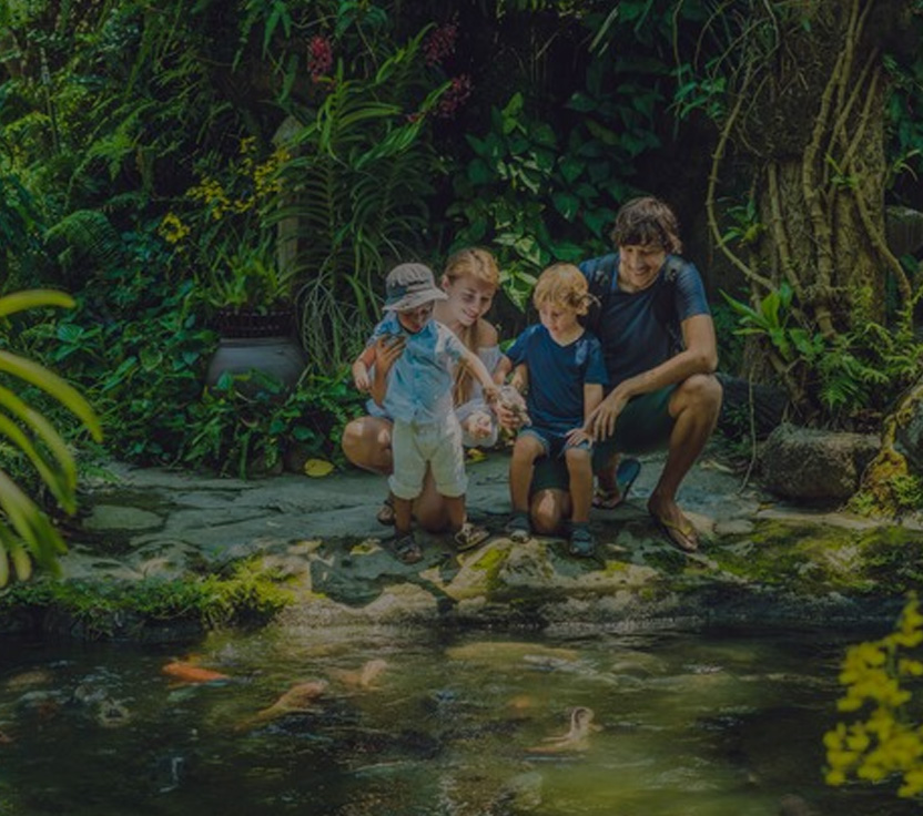 Discover Hornbill Travel & Tours

